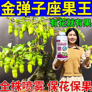 杨桃强效授粉坐果灵保花保果防落果多挂果优质增产营养叶面肥料