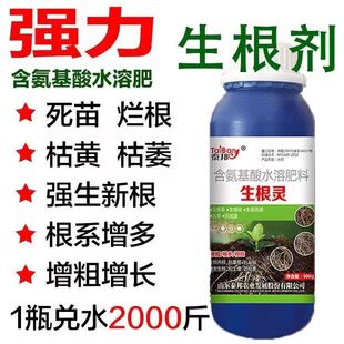 植物根系发育宝生根壮苗剂促进毛细根生长植株健壮