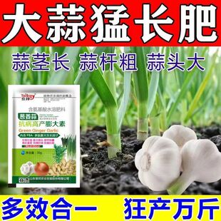 大蒜追肥宝大蒜补充营养块大均匀提高产量促进吸收