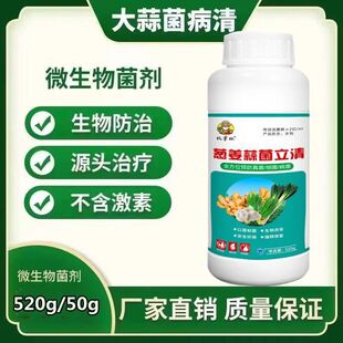 大蒜追肥宝大蒜补充营养块大均匀提高产量促进吸收