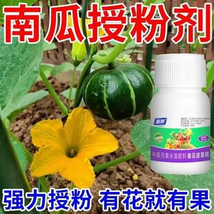 保花保果防落素增产膨大液体肥果树通用催花坐果肥