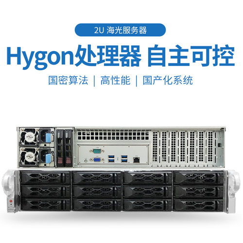 国产信创海光双C服务器5380/7360