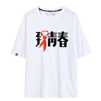 青春团队定制logo毕业班衣服短袖
