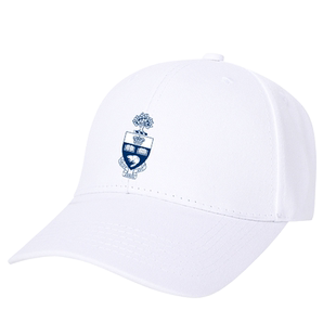 UT名学校多伦多大学学生毕业纪念潮流鸭舌帽户外防晒遮阳帽棒球帽