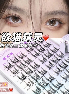 纯欲懒人猫精灵假睫毛自然单簇分段式浓密芭比漫画新手睫毛