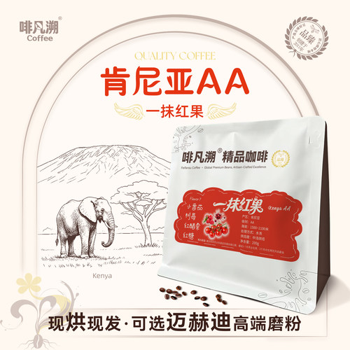 啡凡溯肯尼亚AA涅里水洗咖啡豆