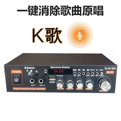 音频功率放大器书架音箱功放机小型功放家用220伏12V车载电源两用