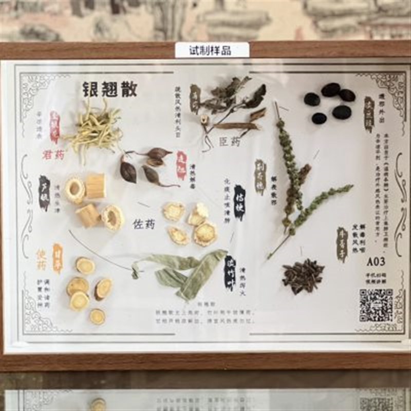 小号医院诊所中药n挂画装饰画方剂标本木框教学展馆道地原药