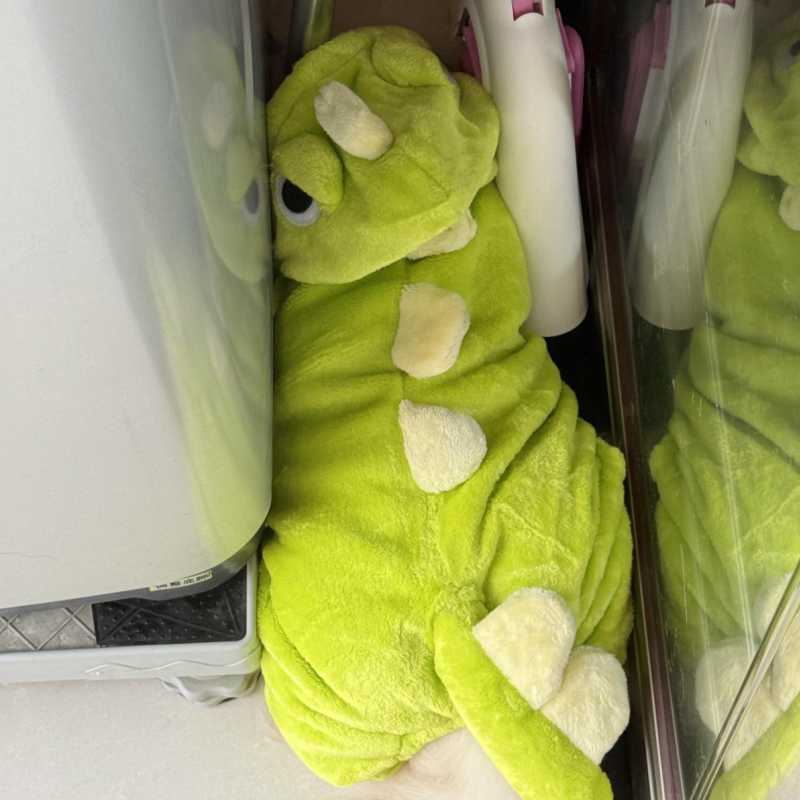 狗狗衣服猫咪恐龙秋冬加