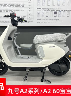 九号A260专用宝宝椅九号A2电动车儿童座椅宝宝椅9号儿童安全座椅