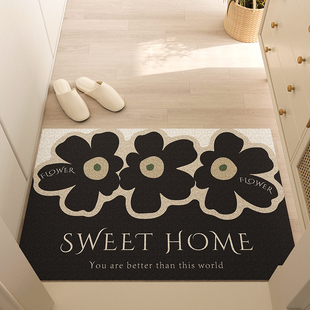 丝圈进门美式 地垫入门门口家用 耐脏入户入户门脚垫垫门外地毯法式