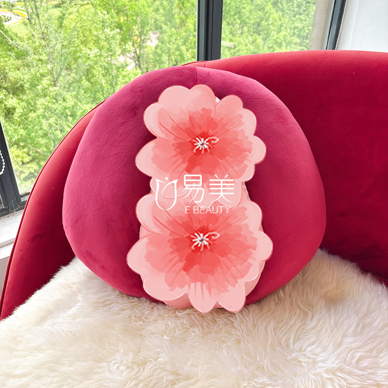 医美女性生殖公仔人体解剖