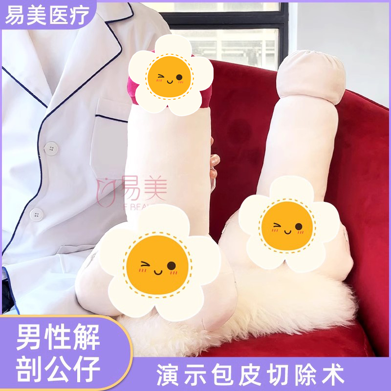男生解剖毛绒公仔医院演示教具客户科普知识医患沟通专业直观模具