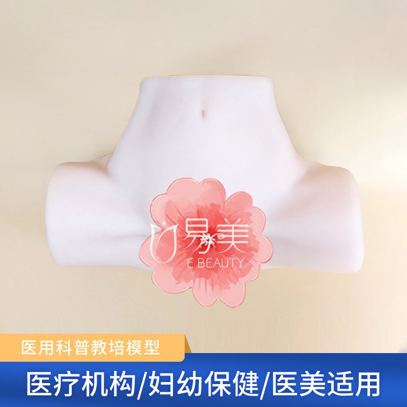 女性妇科检查模型硅胶医学培训医学解剖月子会所教具整形手法练习