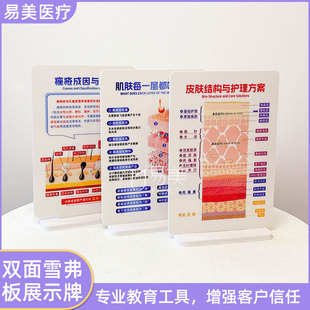 美容院专用雪弗板摆件pvc面部美业美容教育原创设计加硬加厚科普