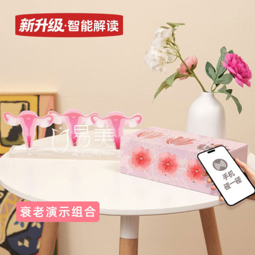 女性一探究竟灵魂通道子宫变迁模型指尖密境青春悄逝摆件沙龙布置