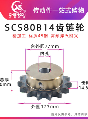 SCS高品质成型孔链轮8分 80B14齿 16A14T外径127精车内孔键槽顶丝