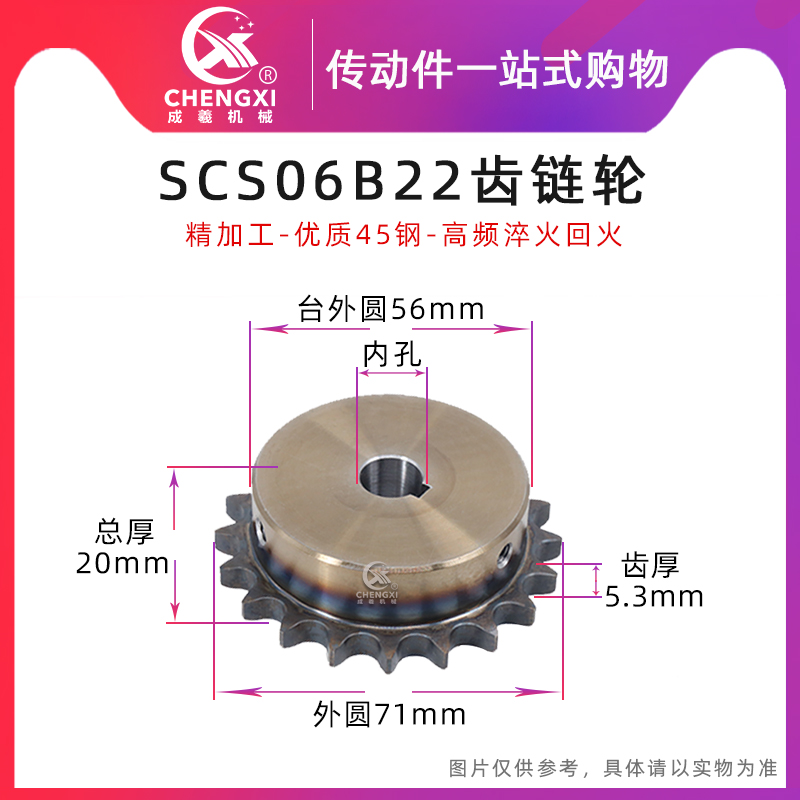 SCS高品质成型孔链轮3分