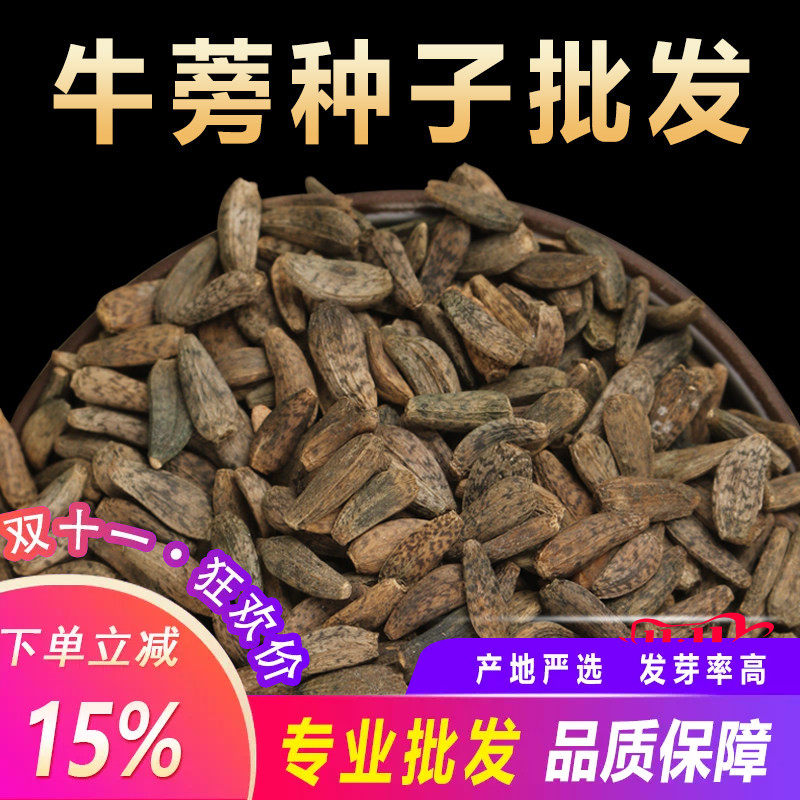 新牛蒡种子中药材牛蒡子种籽牛蒡根茶春季四季种植枸杞决明子种孑