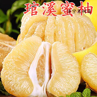 平和琯溪蜜柚苗嫁接白肉蜜柚子树苗 当年结果庭院盆栽地栽果树苗