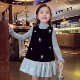儿童韩版 女童背心裙秋装 2025新款 轻奢洋气丝绒礼服裙小女孩连衣裙