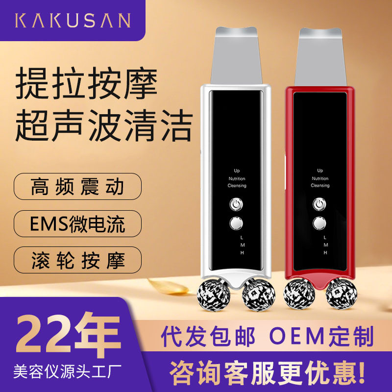 俄罗斯跨境超声波铲皮机