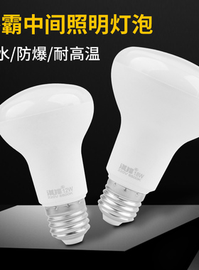 浴霸灯泡中间照明led防水防爆浴室卫生间取暖节能275w40w小灯泡