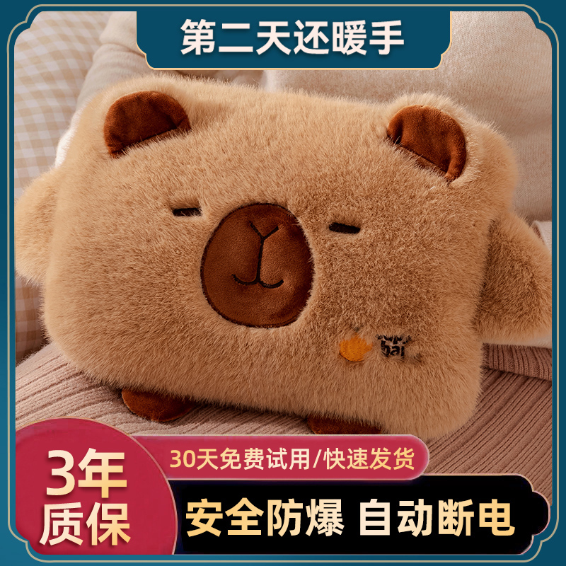 卡皮巴拉可爱高颜值充电热水袋
