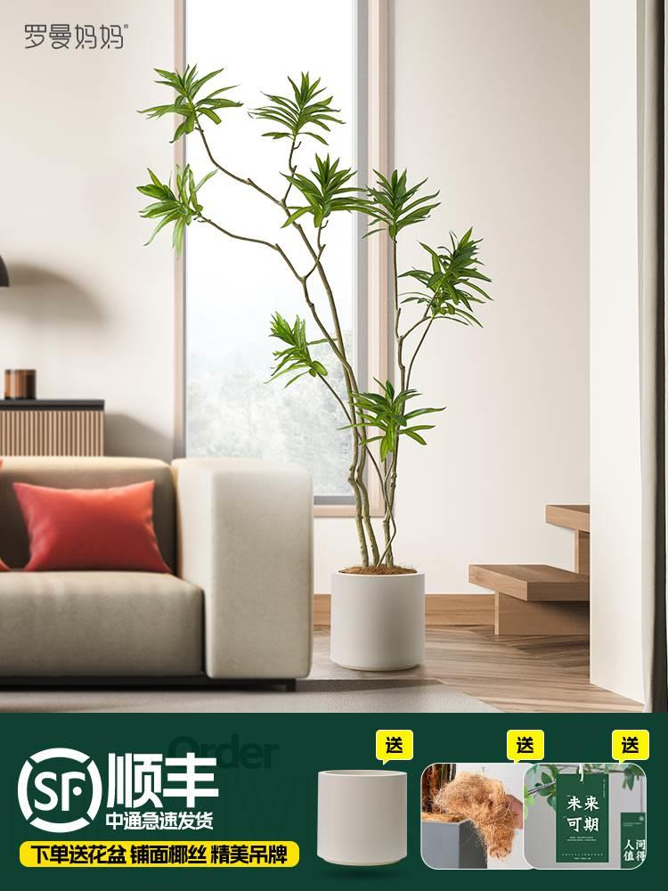 高端轻仿奢真绿植百合竹盆栽 北欧仿植物 客厅落地景生观装饰假树