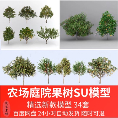 农场庭院果树植物琵琶桃树柚子金钱橘金桔石榴苹果su模型草图大师