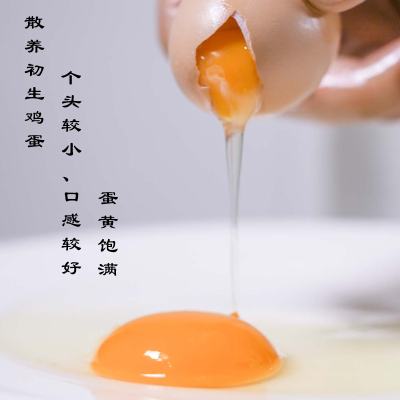 初生蛋60枚土鸡蛋清水一煮就香