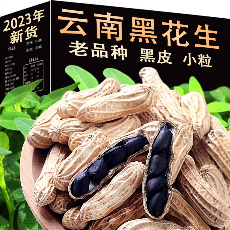 2023新货老品种云南小粒富硒黑花生带壳新鲜零食小粒黑皮花生袋装