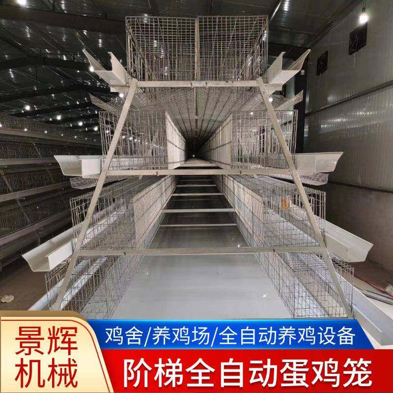 蛋鸡笼多层阶梯全自动清粪捡蛋喂料厂家热镀锌阶梯全自动蛋鸡笼,畜牧/养殖物资,特种养殖设备,淘宝优惠券,粉丝福利购,淘宝优惠卷
