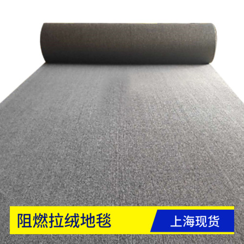 舞台防滑加厚阻燃拉绒地毯展览馆满铺一次性开业典礼迎宾婚礼婚庆
