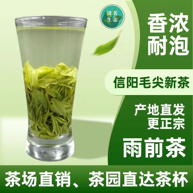 毛尖信阳2026新茶叶雨前口粮茶高山粟香茶场直销炒青绿茶散装包邮