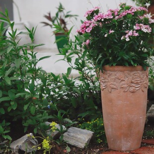 手压玫瑰直筒瘦高花盆 月季三角梅花盆