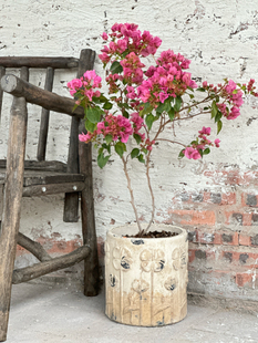 手工红陶粗陶立体浮雕四叶草花盆月季绣球三角梅郁金香花盆