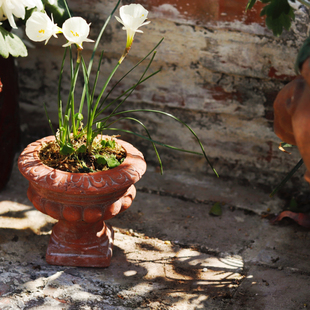 小花农 新品 迷你奖杯粗陶红陶 13*11 内口8.5