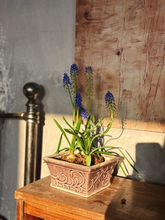 小花农 粉紫色钩花方盆 14*7.5 内口12.5