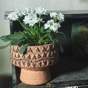 小花农粗陶橘色手盆花花盆20*17 内口16.5