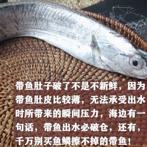 欢迎来到威海冬冬海鲜基地