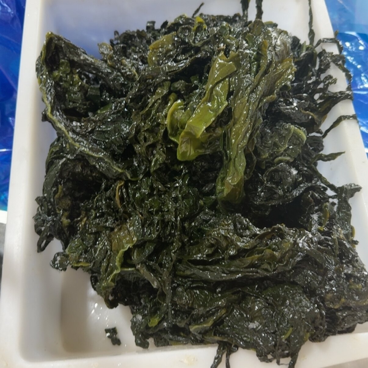 裙带菜5斤图片