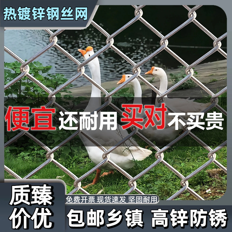 加粗热镀锌铁丝网格勾花围栏网养殖钢丝网果园护栏网养鸡鸭防护网,五金/工具,护栏/隔离栏,淘宝优惠券,粉丝福利购,淘宝优惠卷