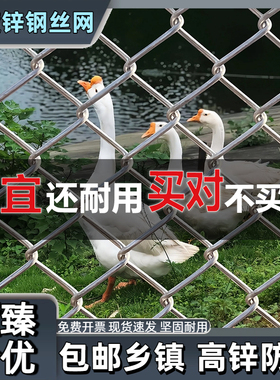 加粗热镀锌铁丝网格勾花围栏网养殖钢丝网果园护栏网养鸡鸭防护网