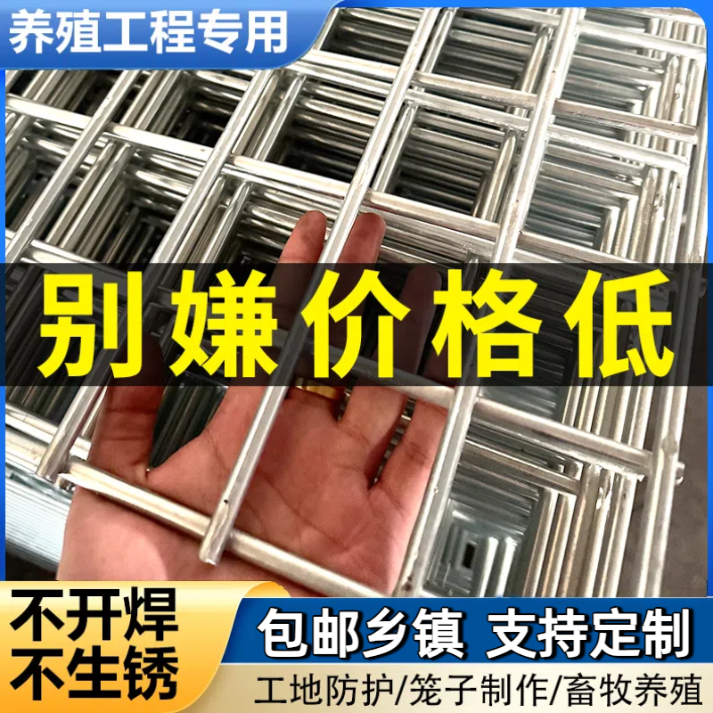 镀锌铁丝网片围栏小孔加粗养殖网狗笼养殖建筑钢筋长孔网格网钢丝