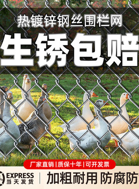 铁丝网养鸡围栏网镀锌防锈菜园勾花钢丝网养殖网格护栏防护网家用