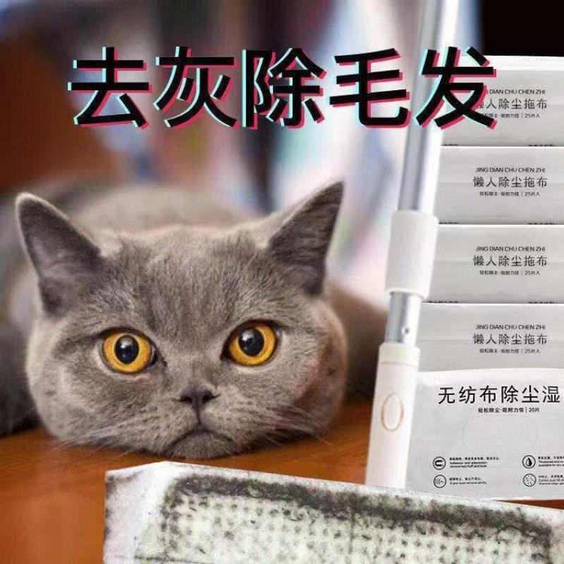 片懒人拖把吸尘纸家用免卫生间清洁擦拖地除尘布干巾