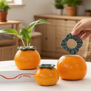 创意橘子铜钱草水培花盆办公室桌面水养绿萝花瓶大吉大利装 饰摆件