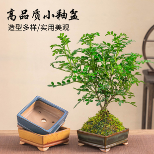 中式禅意风花盆胡椒木米竹铁树小釉盆室内客厅桌面阳台绿植造景盆