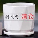 陶瓷花盆带托盘特价 清仓 特大大号创意多肉室内家用吊兰绿萝盆 包邮